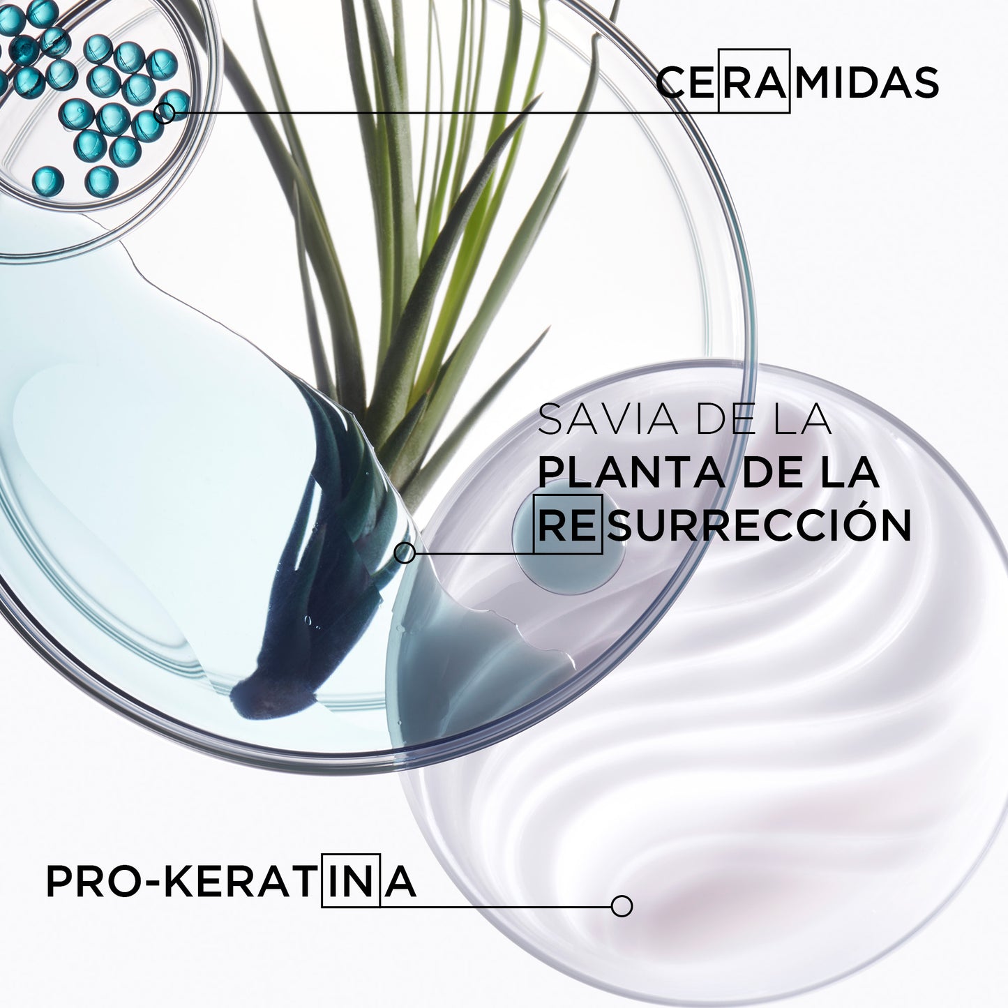 Acondicionador Resistance Ciment Anti-Usure 200ml