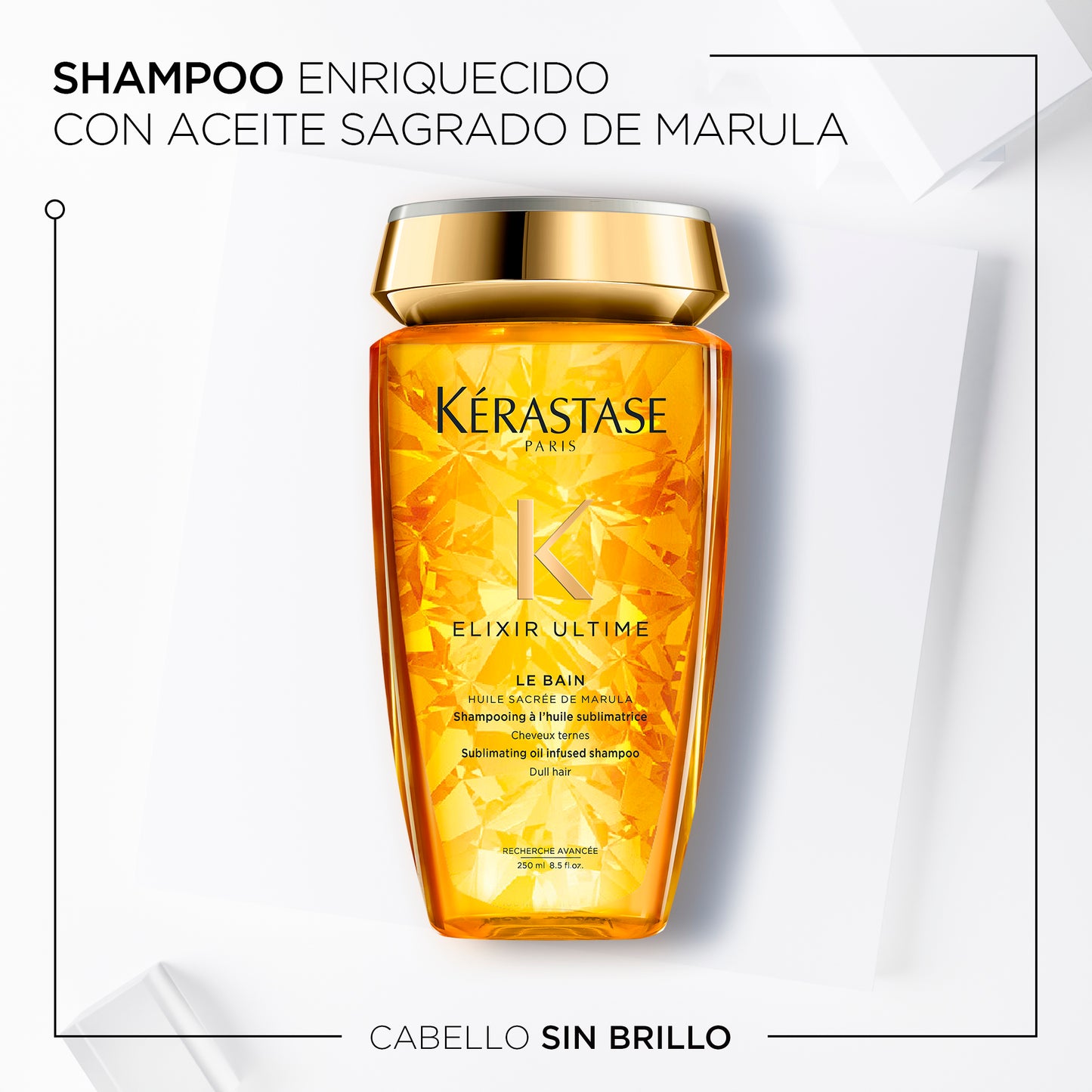 Shampoo Bain Elixir Ultime 250ml