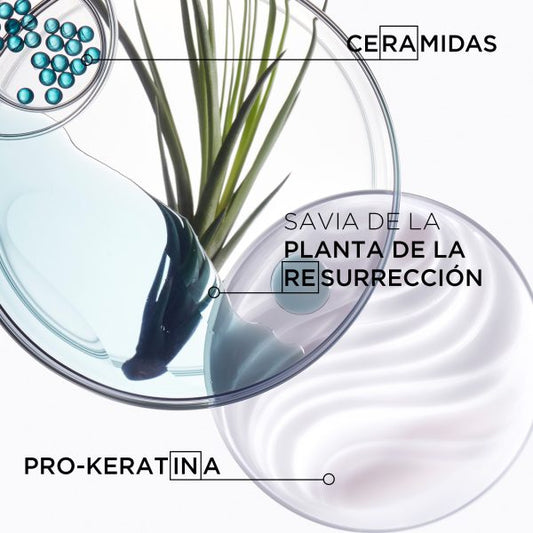 Bain Therapiste – Kérastase 250ml