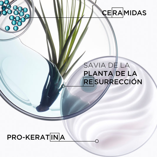 Mascarilla Resistance Force Architecte 200ml