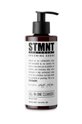 All In One Shampoo STMNT 300 ml
