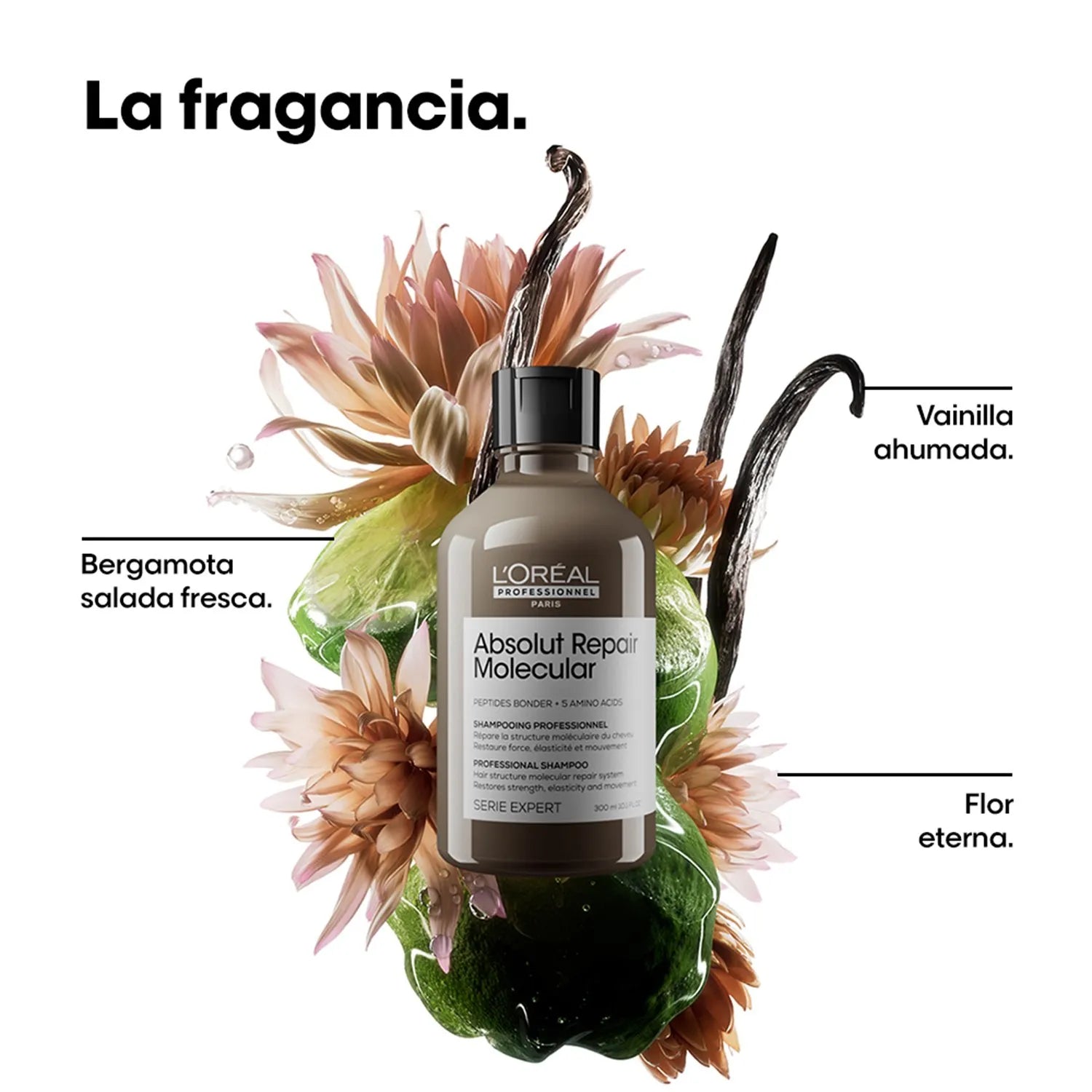 Shampoo LOréal Professionnel Absolut Repair Molecular para cabello muy dañado 300ml